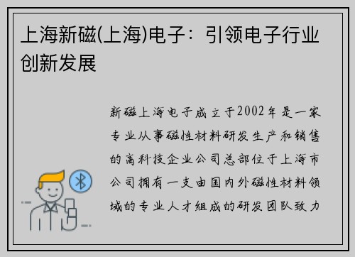 上海新磁(上海)电子：引领电子行业创新发展